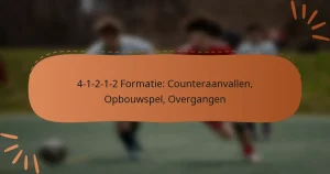 4-1-2-1-2 Formatie: Counteraanvallen, Opbouwspel, Overgangen